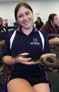 tayla with python