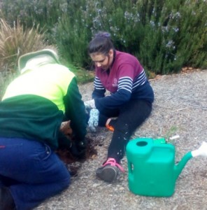 Tree planting YES Centre