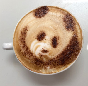 panda coffee